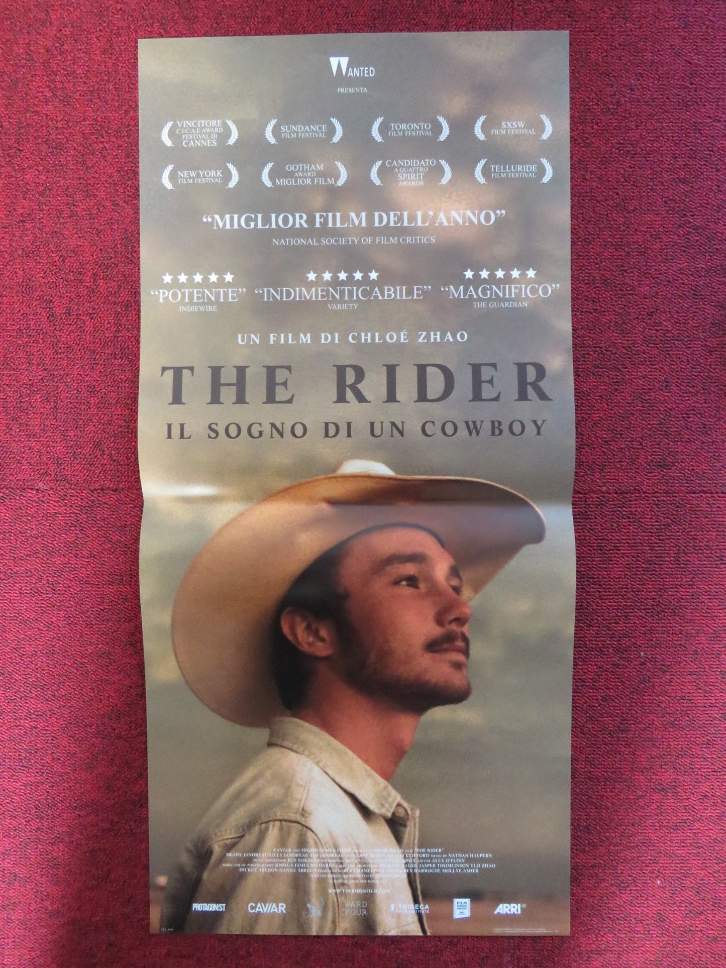 THE RIDER ITALIAN LOCANDINA POSTER BRADY JANDREAU MOONEY 2017 Rendezvous Cinema Movie posters