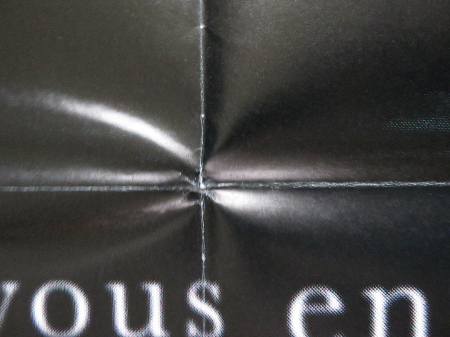 THE RING TWO FRENCH DOOR PANEL POSTER NAOMI WATTS SIMON BAKER 2005 Rendezvous Cinema Movie posters