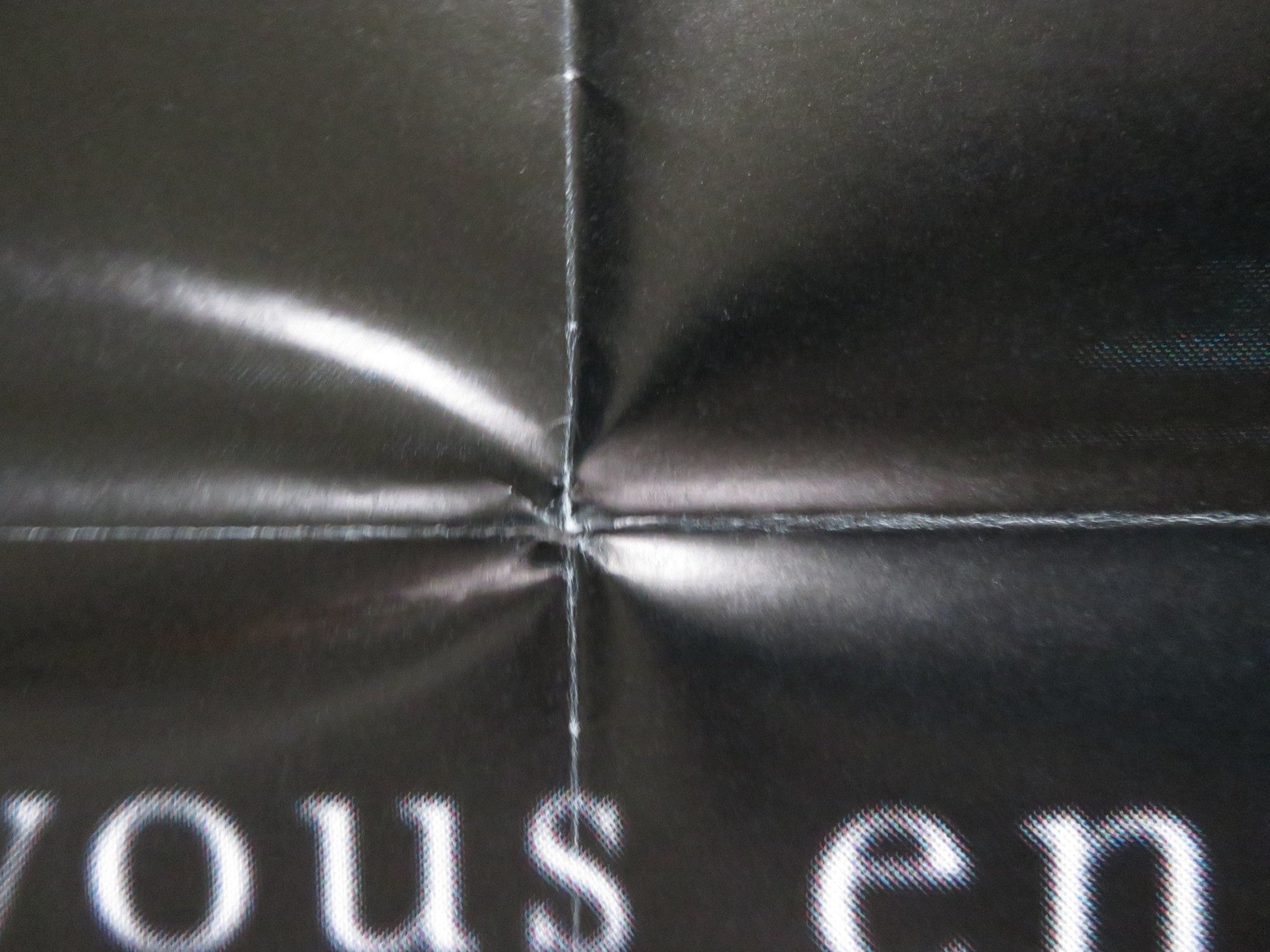 THE RING TWO FRENCH DOOR PANEL POSTER NAOMI WATTS SIMON BAKER 2005 Rendezvous Cinema Movie posters