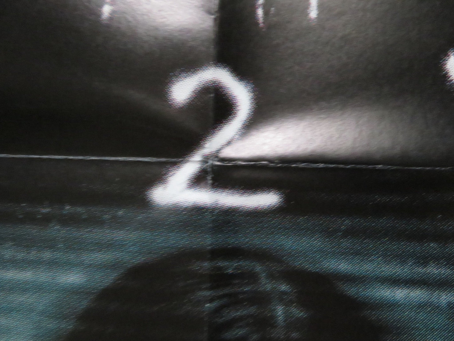 THE RING TWO FRENCH DOOR PANEL POSTER NAOMI WATTS SIMON BAKER 2005 Rendezvous Cinema Movie posters