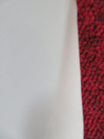 THE RINGER US ONE SHEET ROLLED POSTER JOHNNY KNOXVILLE BRIAN COX 2005 Rendezvous Cinema Movie posters