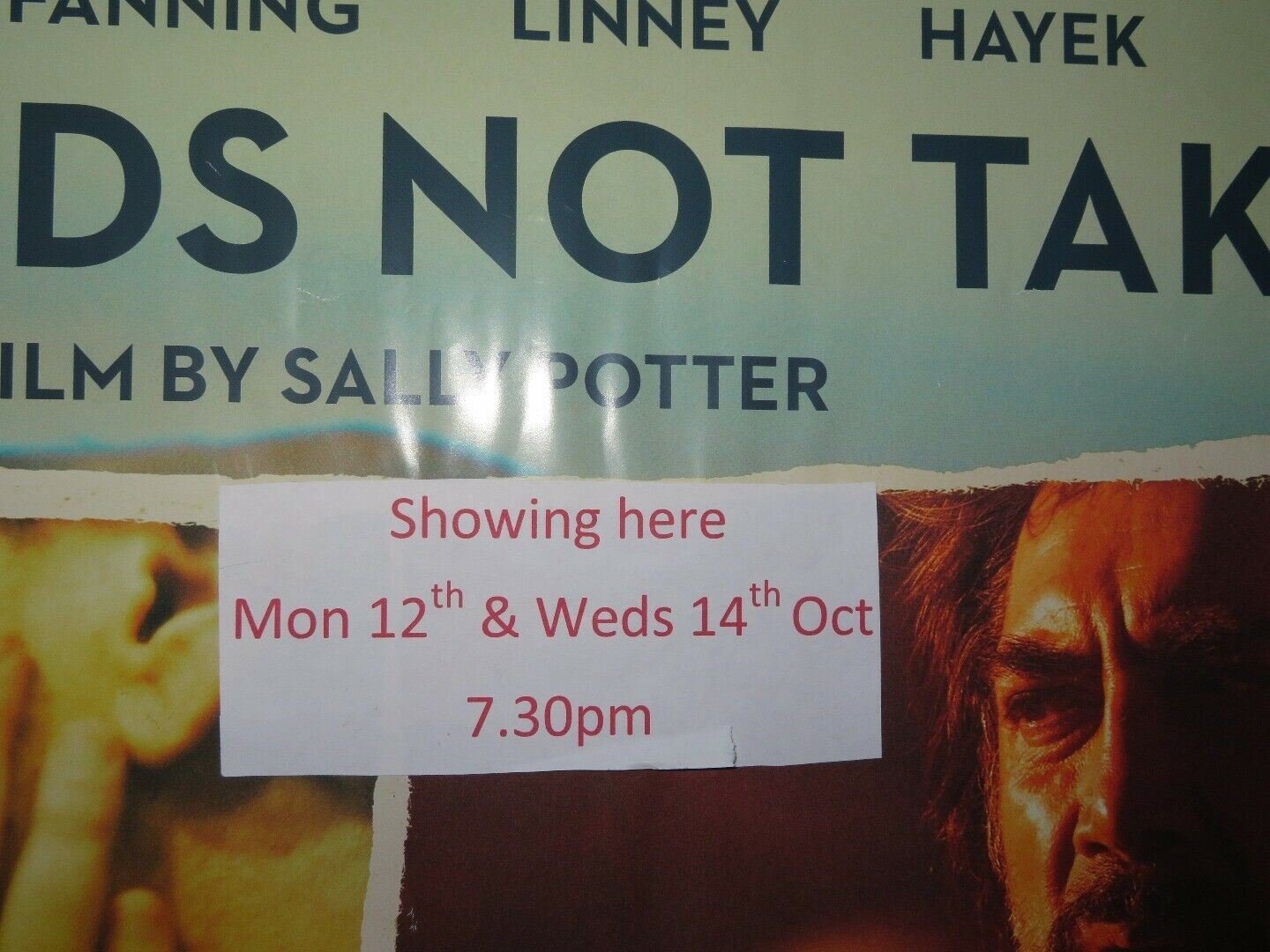 THE ROADS NOT TAKEN QUAD (30"x 40") ROLLED POSTER JAVIER BARDEM ELLE FANNING Movie posters