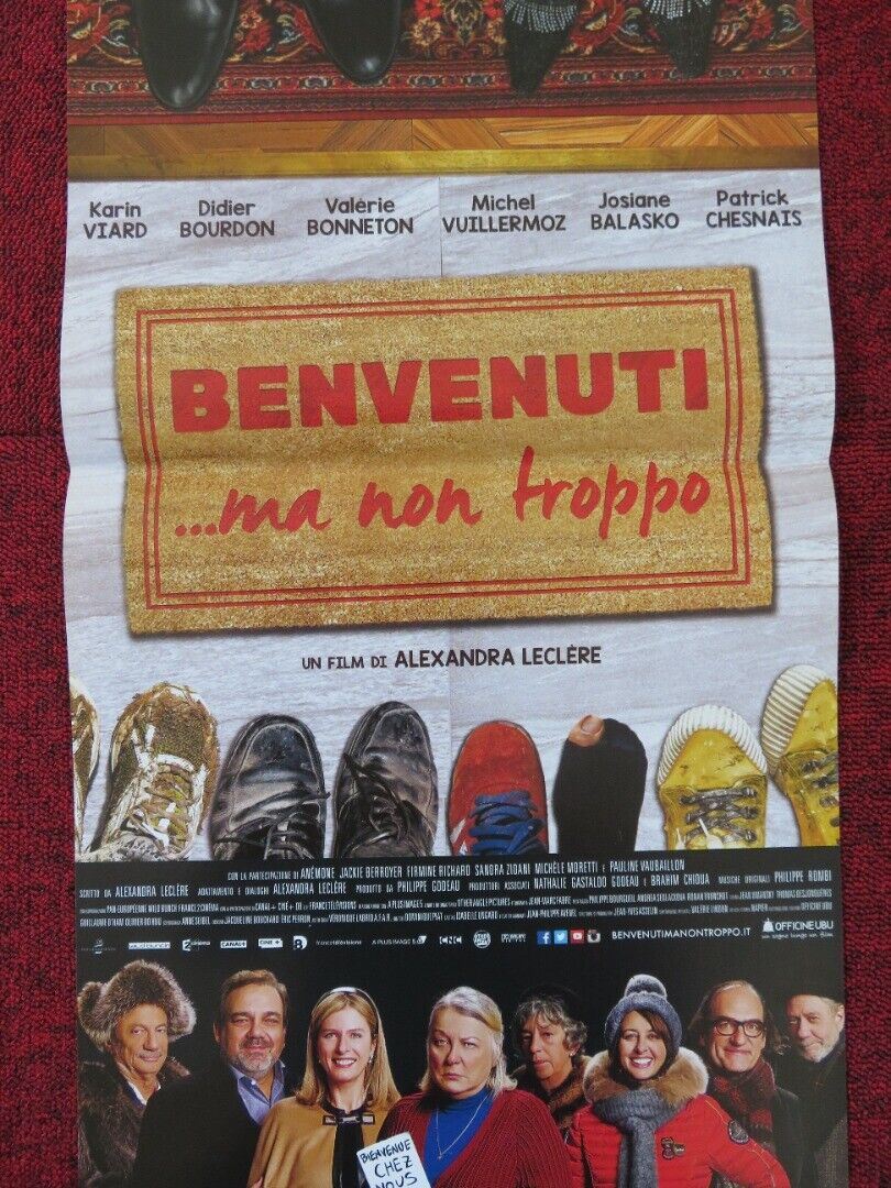 THE ROOMMATES PARTY ITALIAN LOCANDINA (26.5"x12.5") POSTER KARIN VIARD 2015 Rendezvous Cinema Movie posters