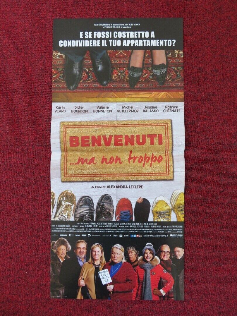 THE ROOMMATES PARTY ITALIAN LOCANDINA (26.5"x12.5") POSTER KARIN VIARD 2015 Rendezvous Cinema Movie posters