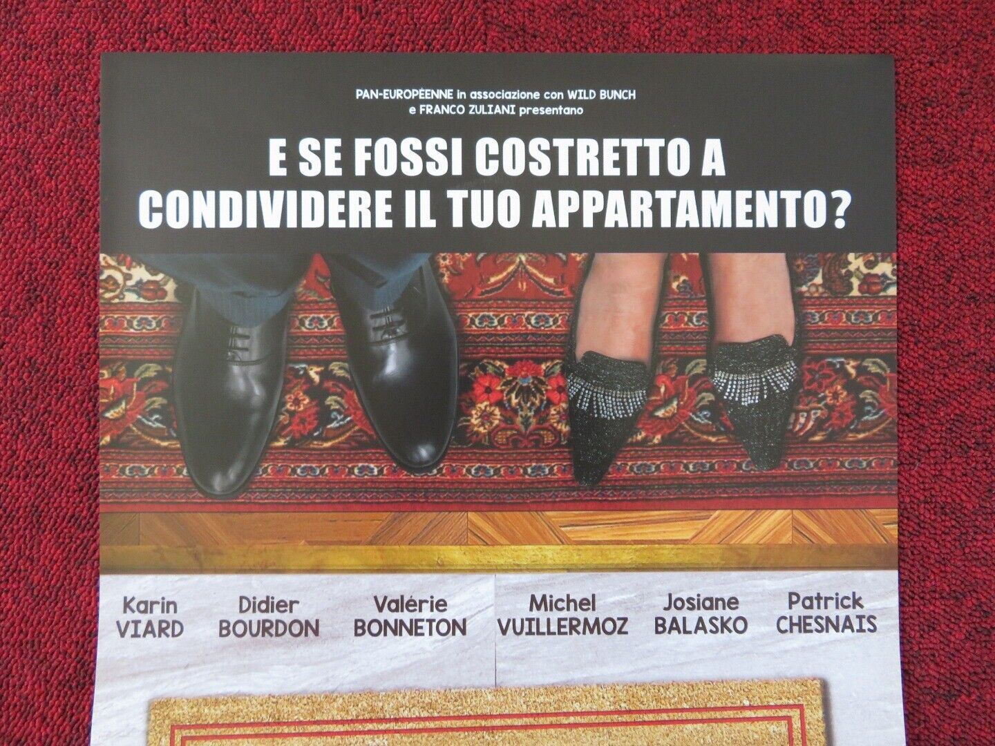 THE ROOMMATES PARTY ITALIAN LOCANDINA (26.5"x12.5") POSTER KARIN VIARD 2015 Rendezvous Cinema Movie posters