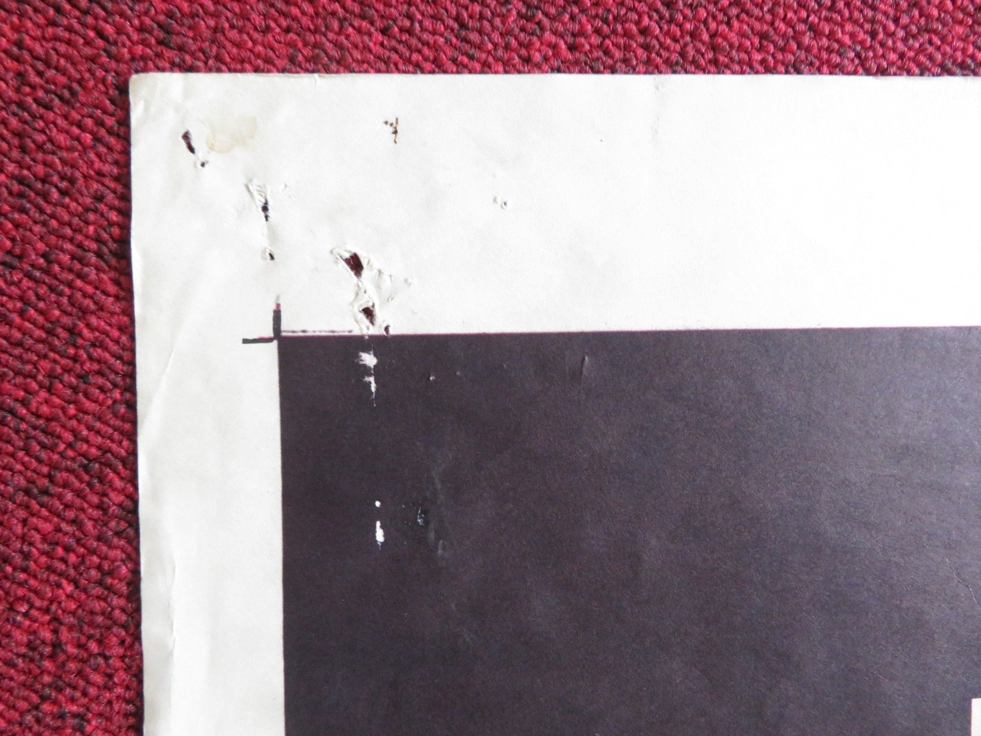 THE ROSE TATTOO FOLDED US ONE SHEET POSTER BURT LANCASTER ANNA MAGNANI 1955 Rendezvous Cinema Movie posters