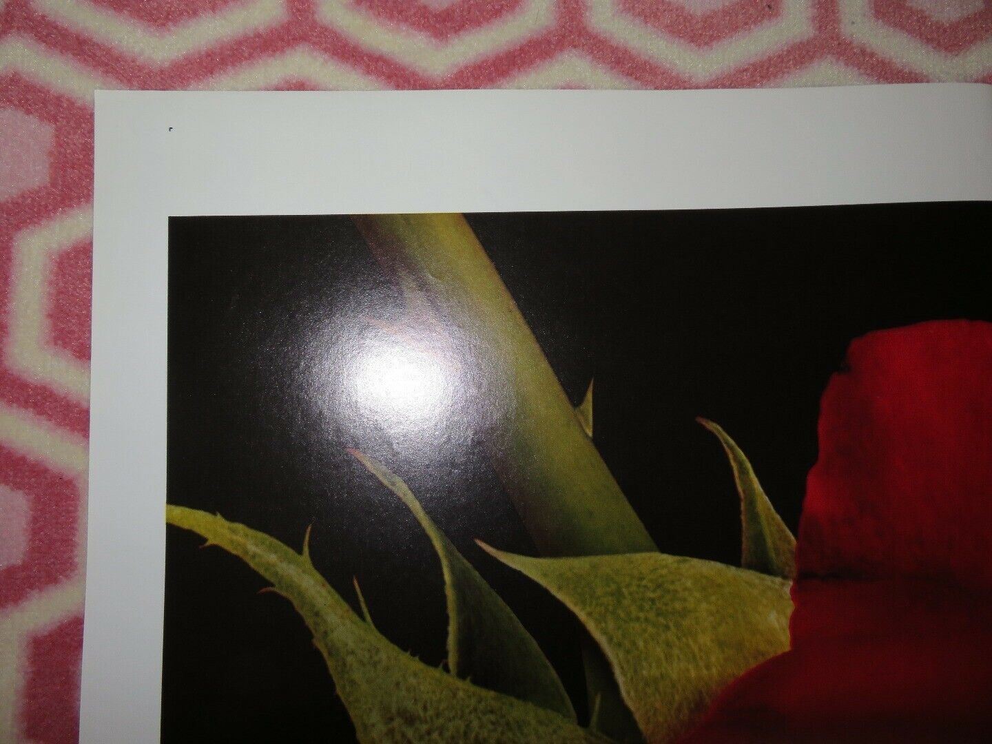 THE ROSE US ONE SHEET POSTER BETTE MIDLER ALAN BATES 1979 Movie posters