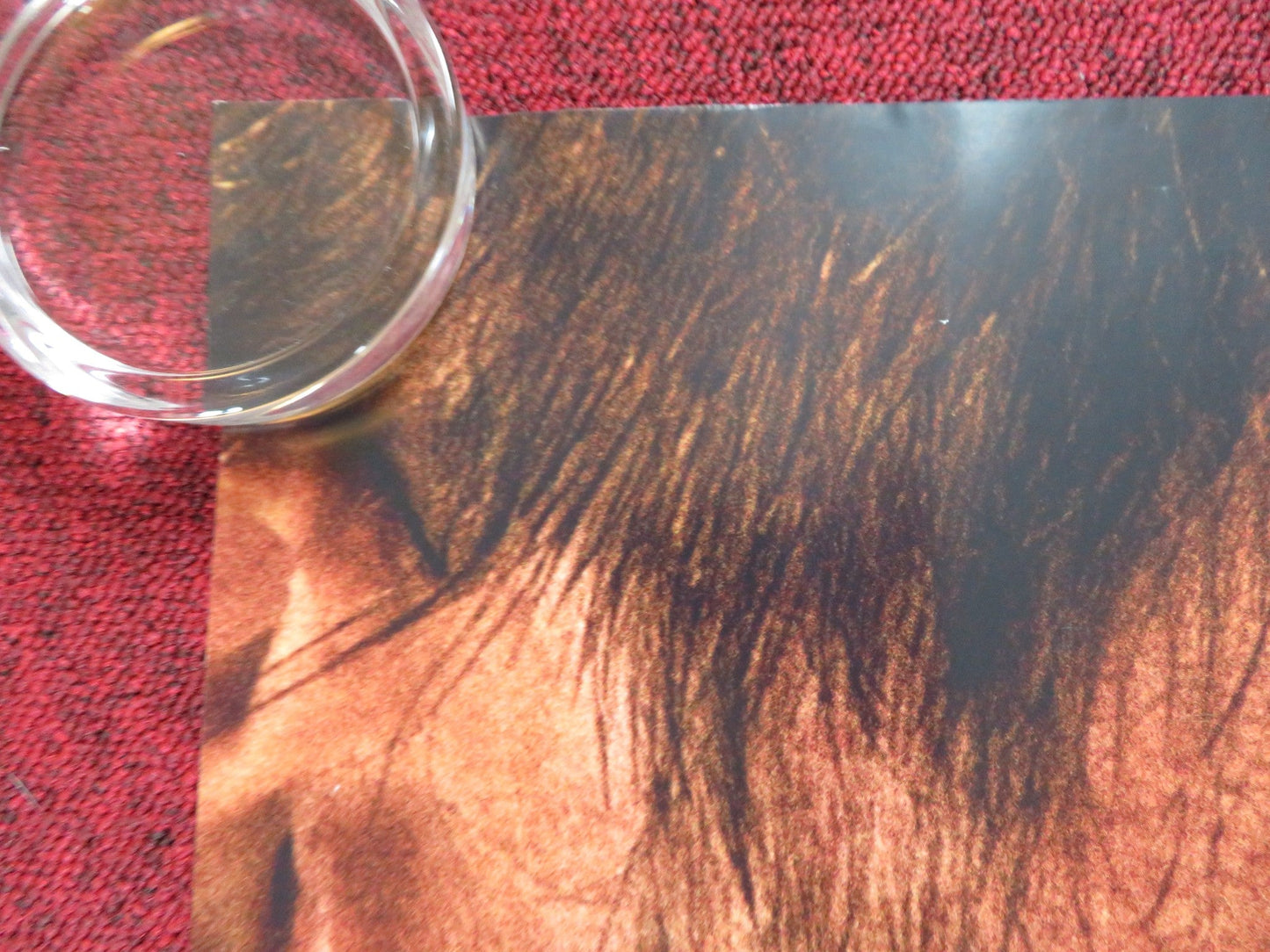 THE ROVER UK QUAD (30"x 40") ROLLED POSTER GUY PEARCE ROBERT PATTINSON 2014 Rendezvous Cinema Movie posters