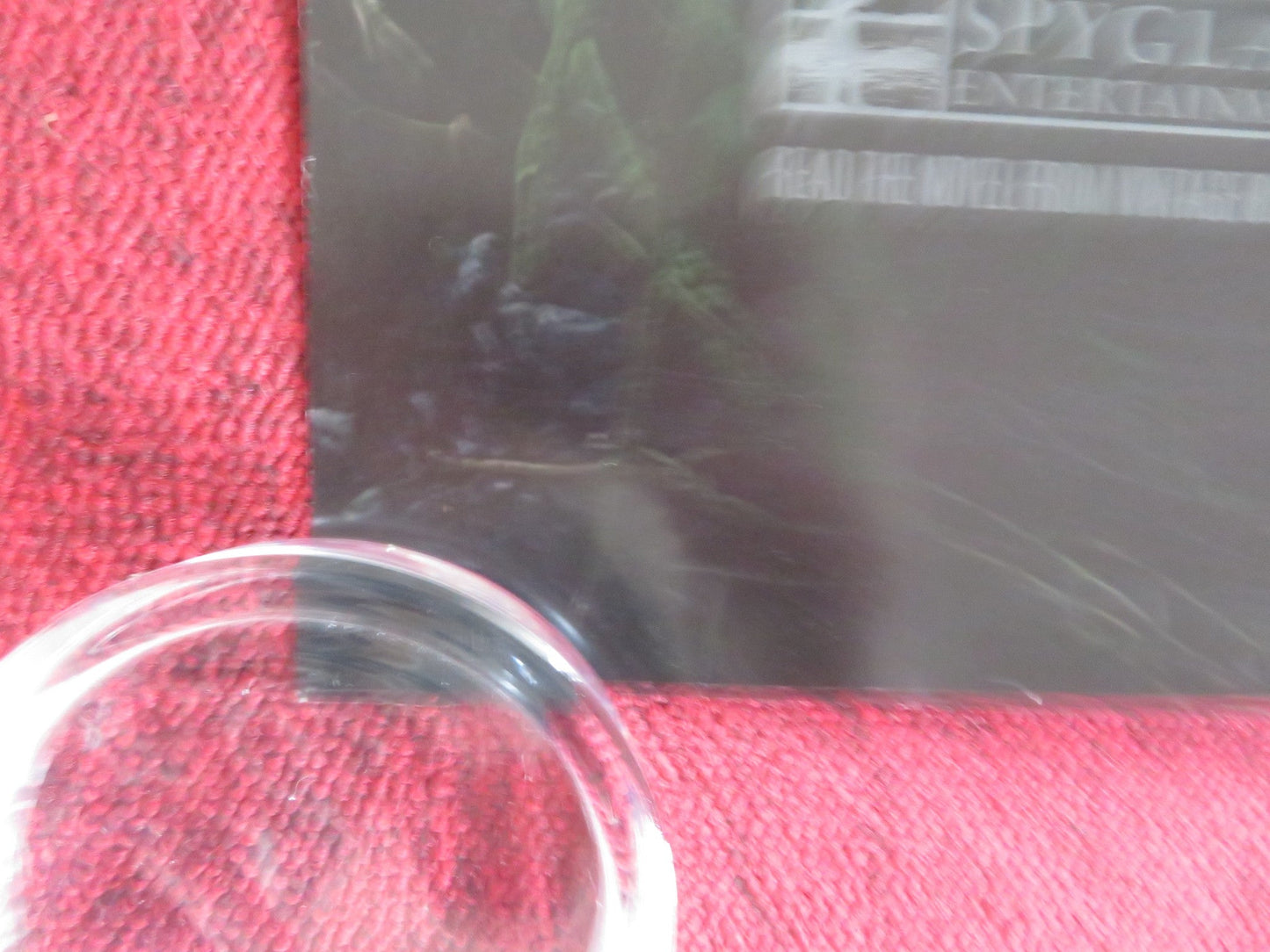 THE RUINS US ONE SHEET ROLLED POSTER JOHNATHAN TUCKER JENA MALONE 2008 Rendezvous Cinema Movie posters