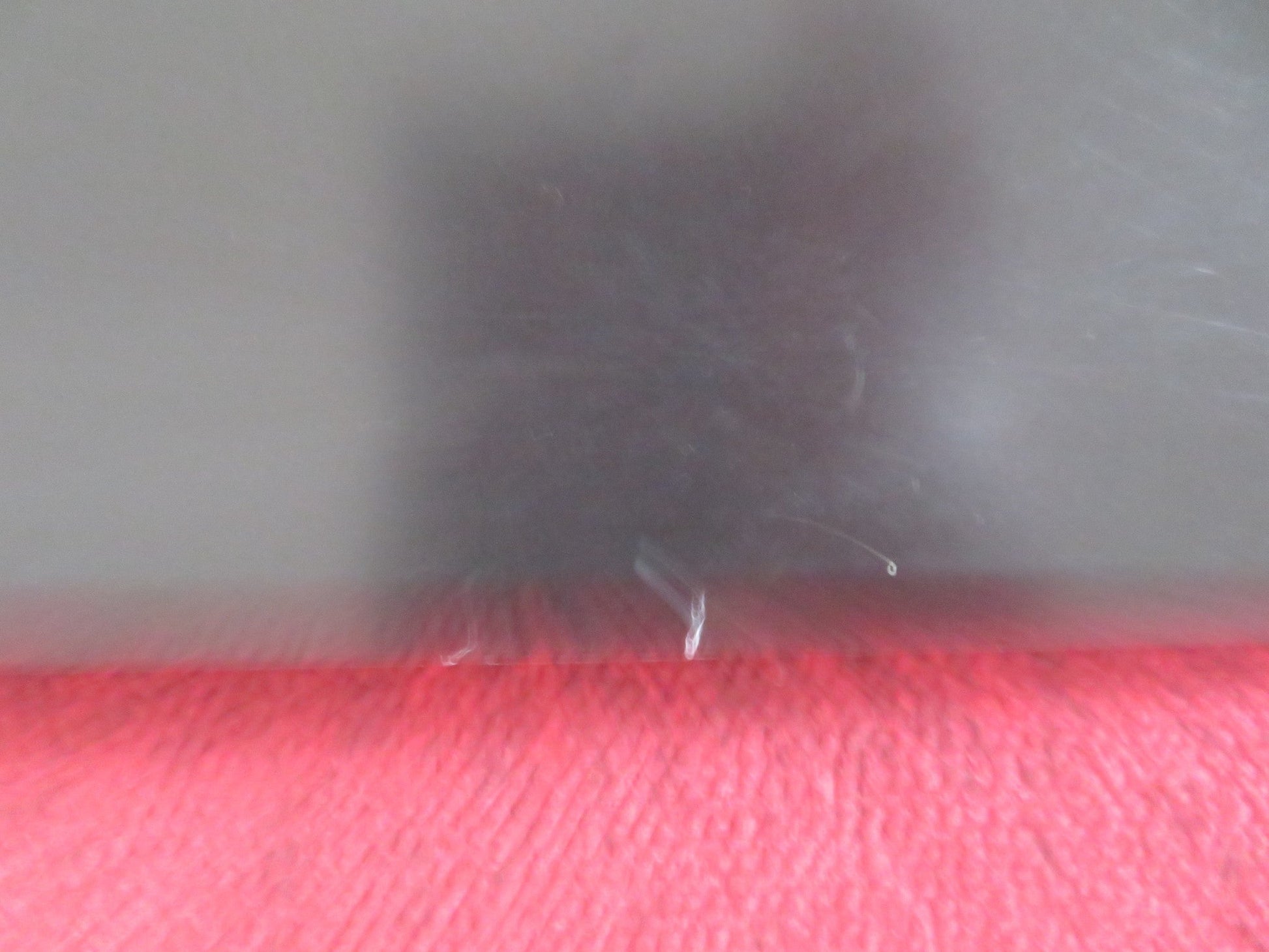 THE RUINS US ONE SHEET ROLLED POSTER JOHNATHAN TUCKER JENA MALONE 2008 Rendezvous Cinema Movie posters