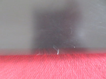 THE RUINS US ONE SHEET ROLLED POSTER JOHNATHAN TUCKER JENA MALONE 2008 Rendezvous Cinema Movie posters