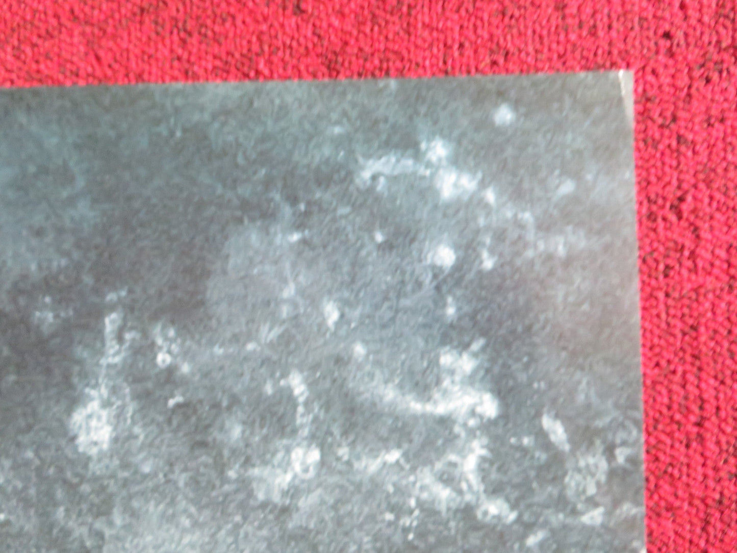 THE RUINS US ONE SHEET ROLLED POSTER JOHNATHAN TUCKER JENA MALONE 2008 Rendezvous Cinema Movie posters