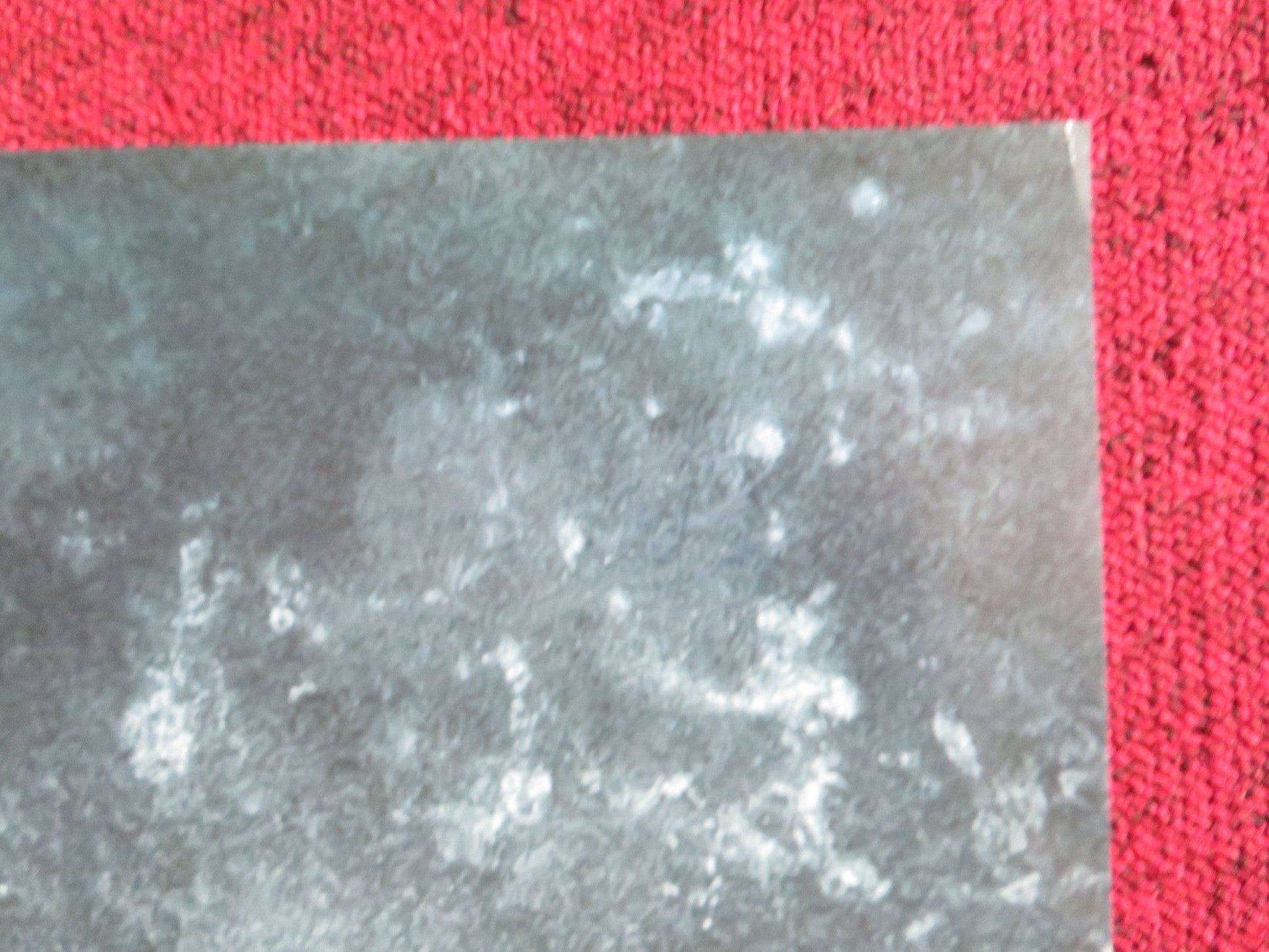 THE RUINS US ONE SHEET ROLLED POSTER JOHNATHAN TUCKER JENA MALONE 2008 Rendezvous Cinema Movie posters