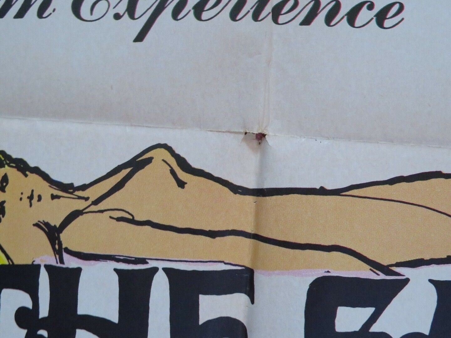 THE SATIN MUSHROOM FOLDED US ONE SHEET POSTER MARLA BRIDGESTONE 1969 Movie posters