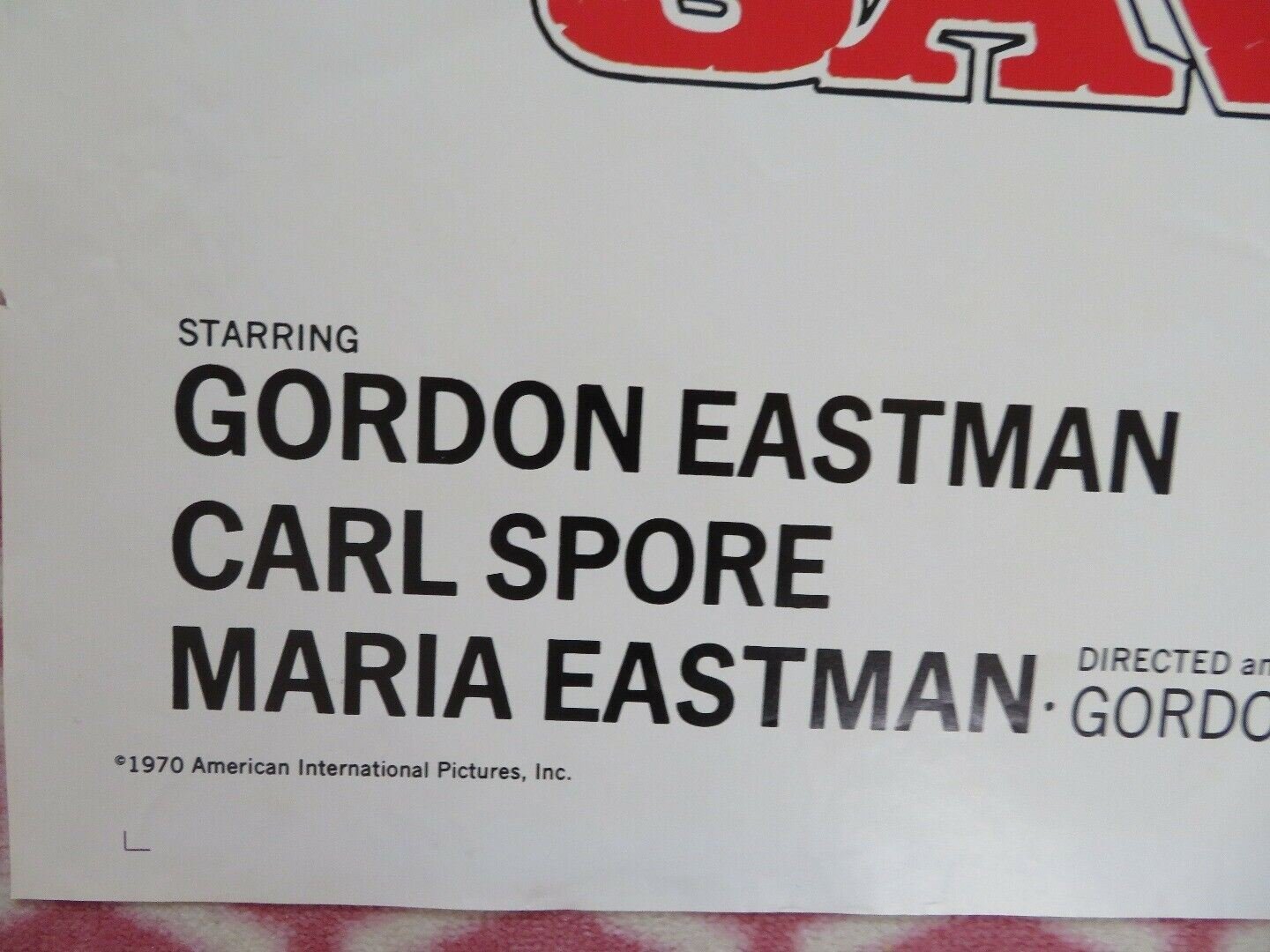 THE SAVAGE WILD US ONE SHEET POSTER GORDON EASTMAN CARL SPORE 1970 Movie posters