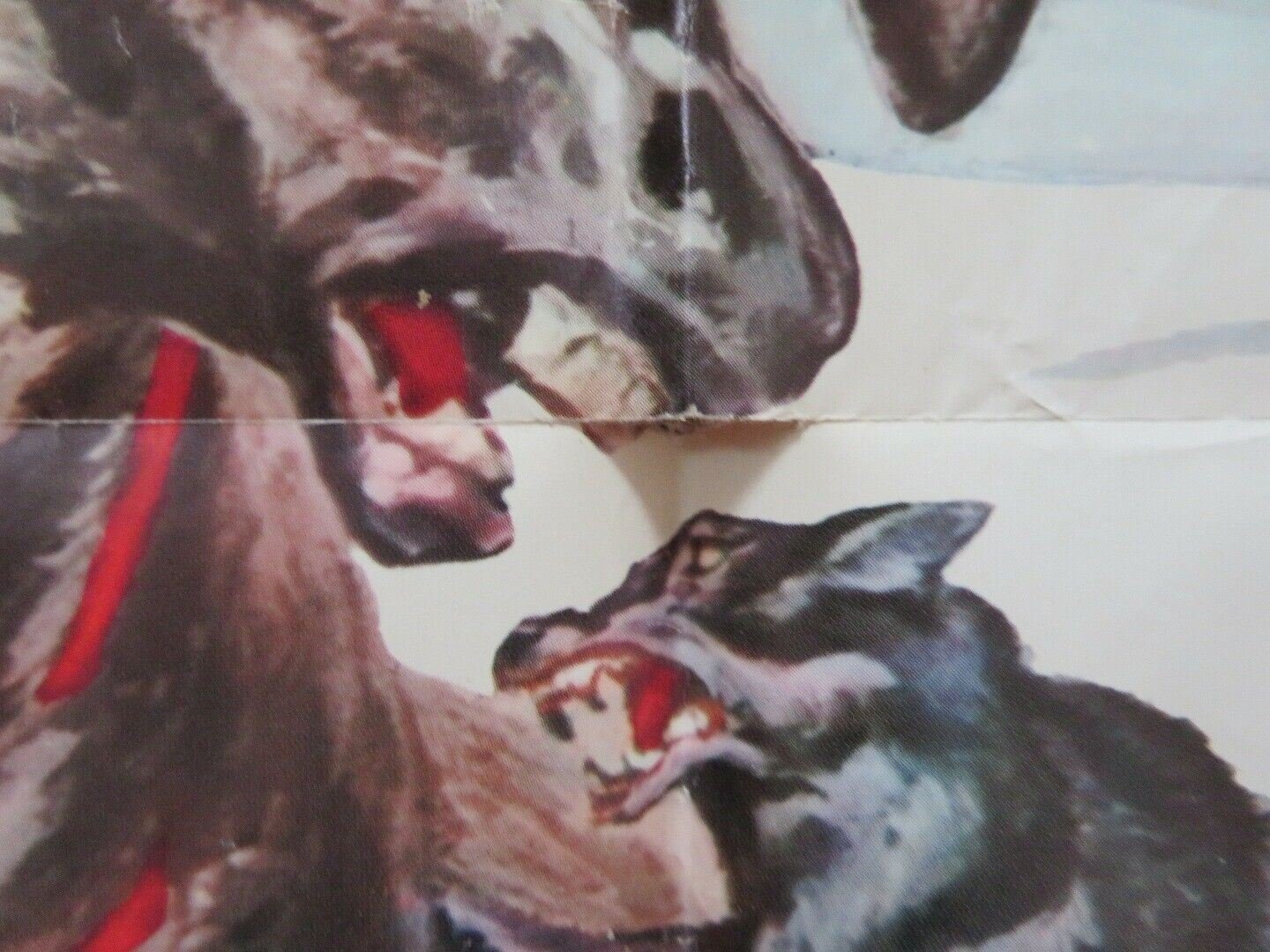 THE SAVAGE WILD US ONE SHEET POSTER GORDON EASTMAN CARL SPORE 1970 Movie posters