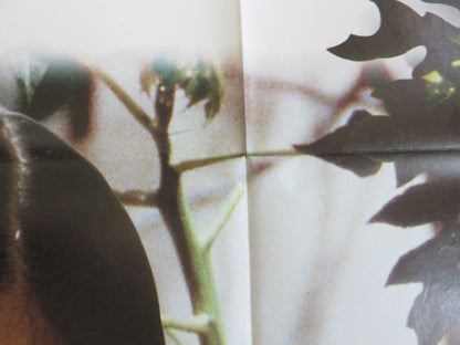 THE SCENT OF GREEN PAPAYA ITALIAN 2 FOGLIO POSTER NU YEN - KHE TRAN MAN SAN LU Rendezvous Cinema Movie posters