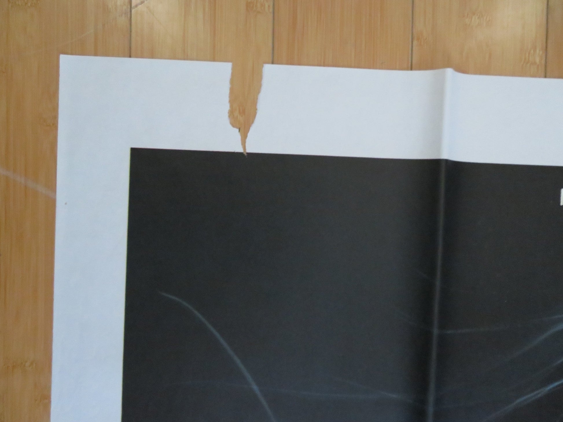 THE SCORPION WITH TWO TAILS ITALIAN 2 FOGLIO POSTER ELVIRE AUDRAY P. MALCO 1982 Rendezvous Cinema Movie posters