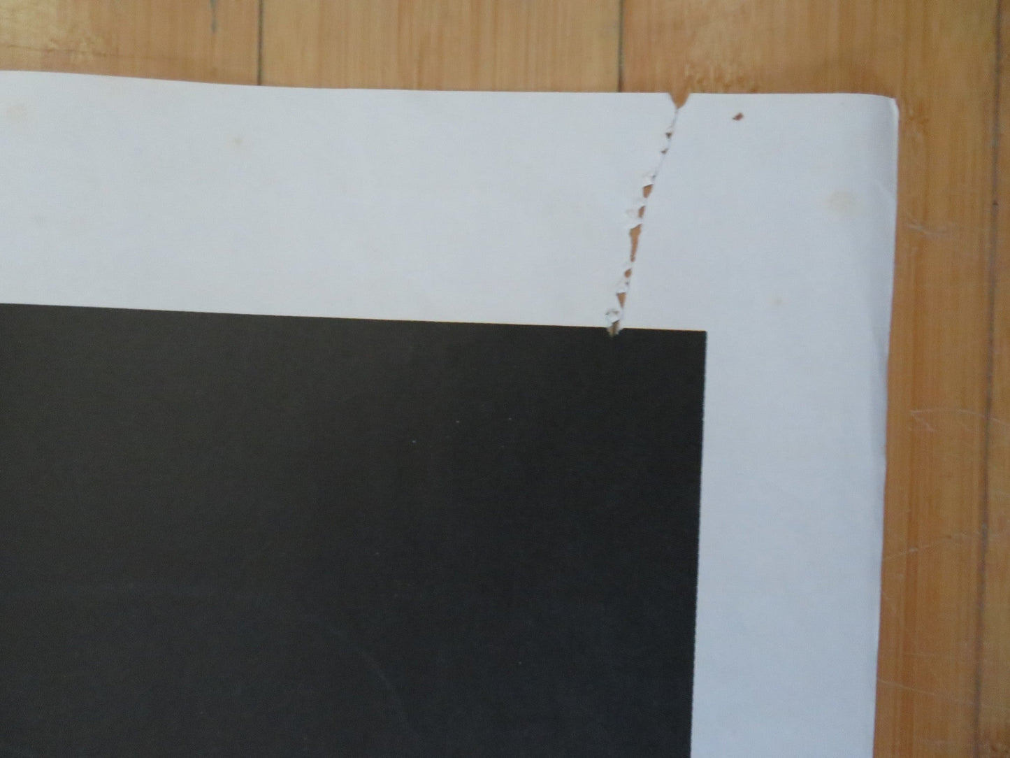 THE SCORPION WITH TWO TAILS ITALIAN 2 FOGLIO POSTER ELVIRE AUDRAY P. MALCO 1982 Rendezvous Cinema Movie posters