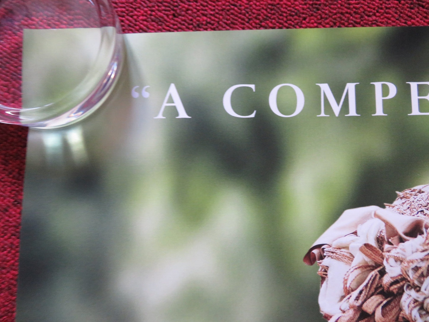 THE SEAGULL UK QUAD (30"x 40") ROLLED POSTER ANNETTE BENING SAOIRSE RONAN 2018 Rendezvous Cinema Movie posters