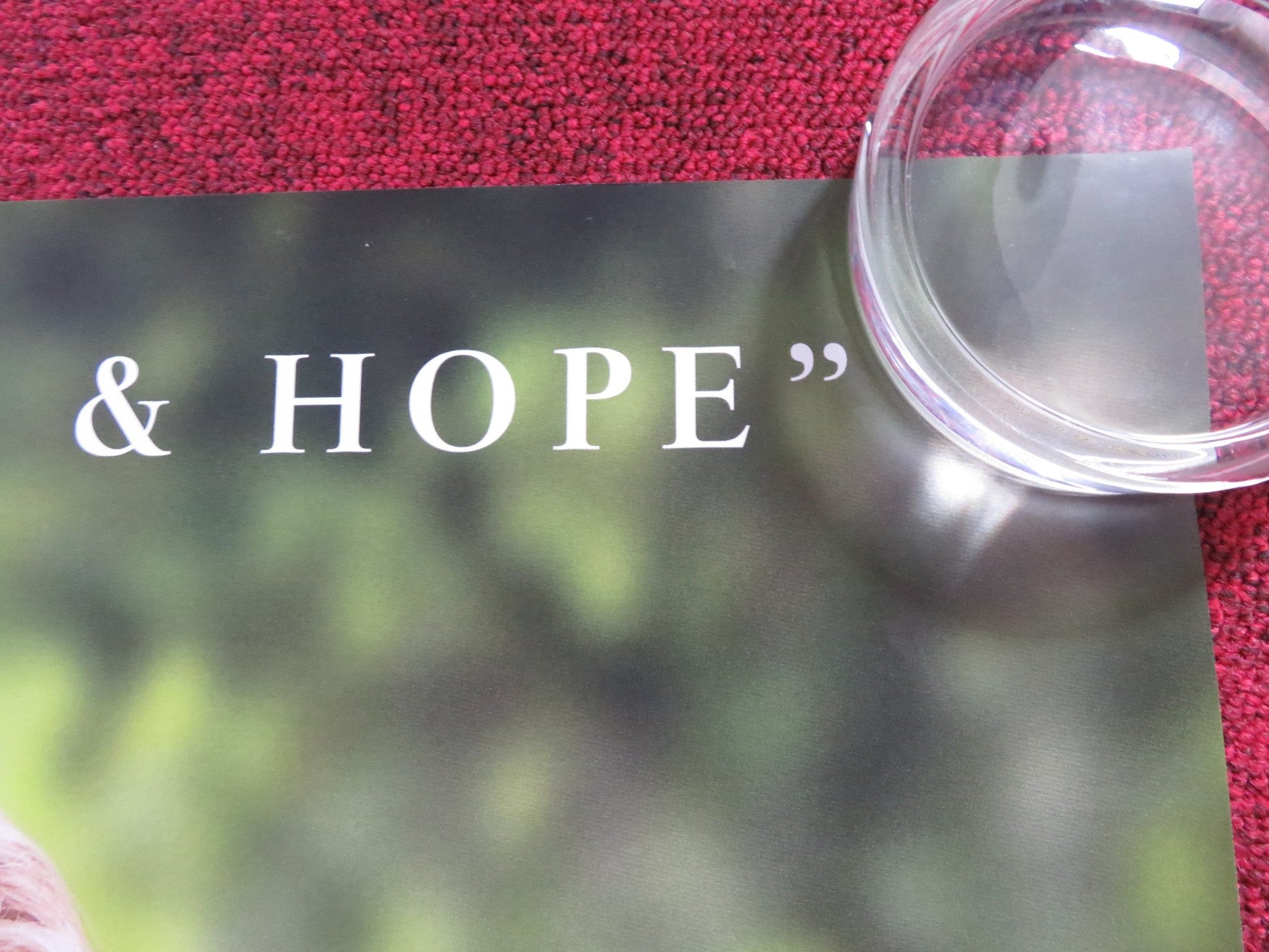 THE SEAGULL UK QUAD (30"x 40") ROLLED POSTER ANNETTE BENING SAOIRSE RONAN 2018 Rendezvous Cinema Movie posters