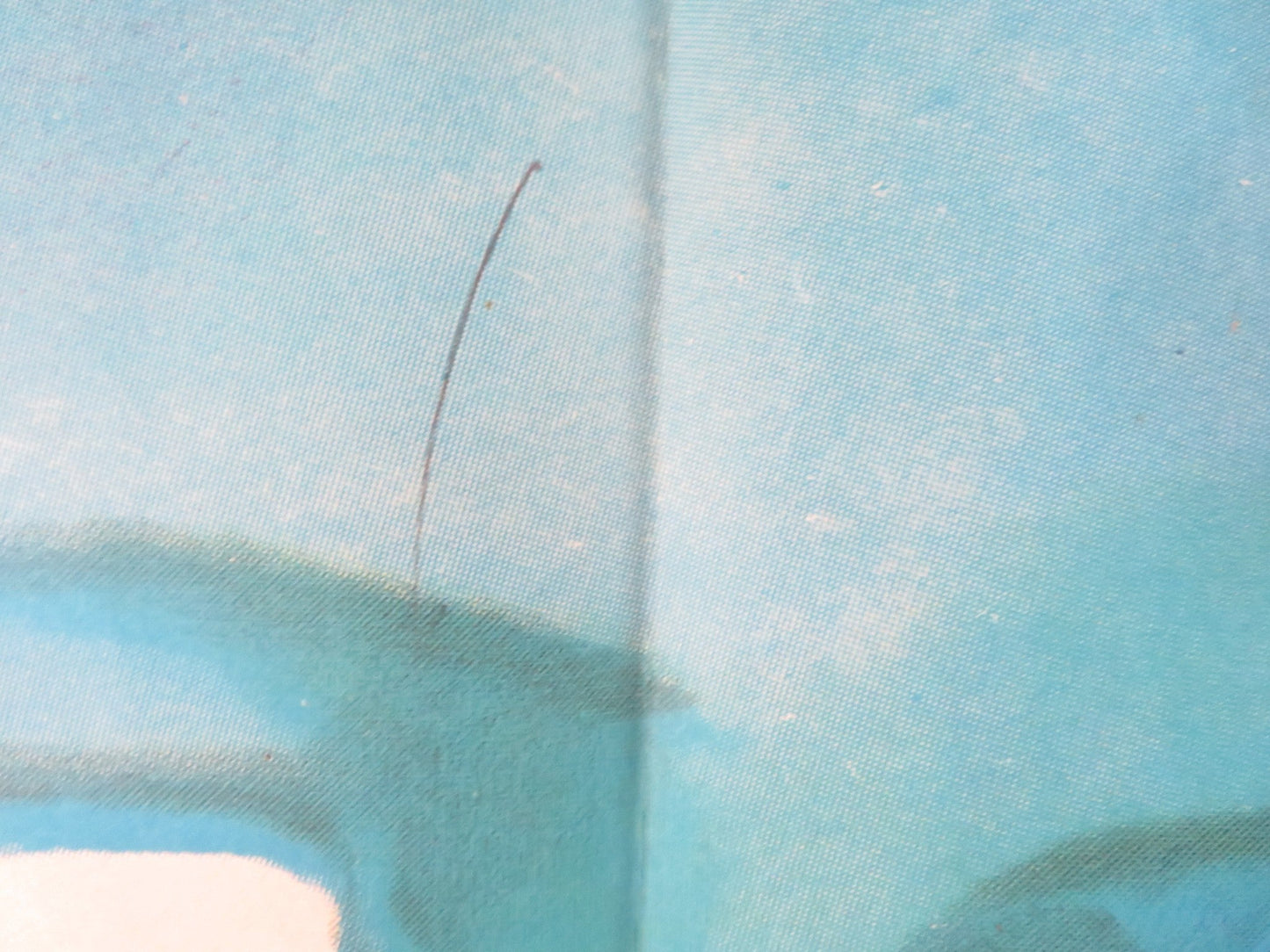 THE SECOND FACE FOLDED US ONE SHEET POSTER ELLA RAINES BRUCE BENNETT 1950 Rendezvous Cinema Movie posters