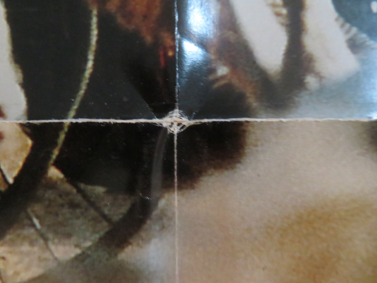 THE SECRET GARDEN FOLDED US ONE SHEET POSTER KATE MABERLY HEYDON PROWSE 1993 Rendezvous Cinema Movie posters