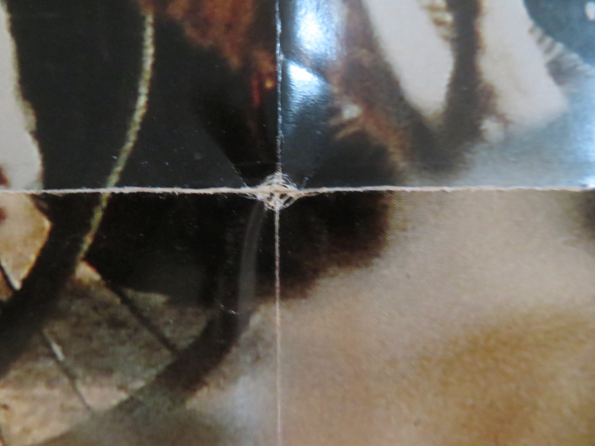 THE SECRET GARDEN FOLDED US ONE SHEET POSTER KATE MABERLY HEYDON PROWSE 1993 Rendezvous Cinema Movie posters