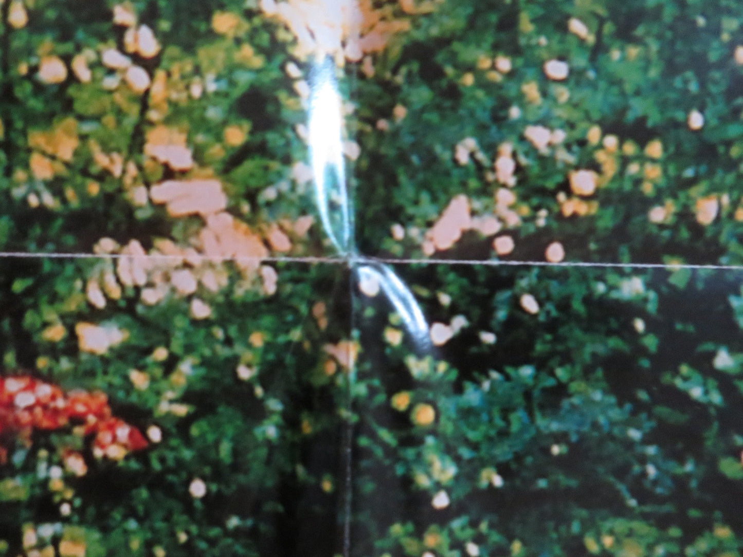 THE SECRET GARDEN FOLDED US ONE SHEET POSTER KATE MABERLY HEYDON PROWSE 1993 Rendezvous Cinema Movie posters