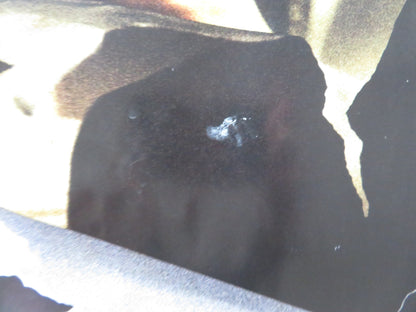 THE SECRET IN THEIR EYES UK QUAD ROLLED POSTER SOLEDAD VILLAMIL DARIN 2009 Rendezvous Cinema Movie posters