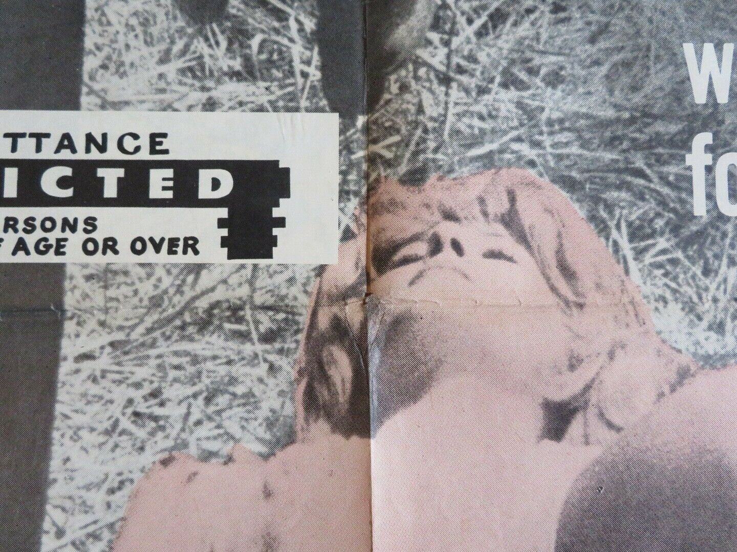 THE SEDUCERS US ONE SHEET POSTER NUELLA DIERKING MARK SAEGERS 1962 - Rendezvous Cinema