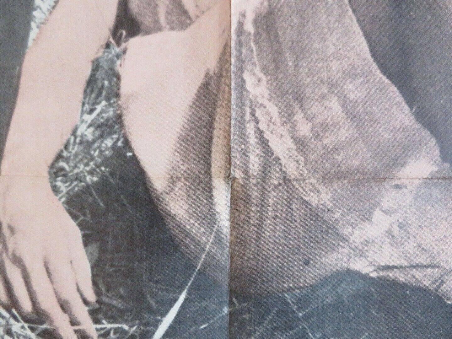 THE SEDUCERS US ONE SHEET POSTER NUELLA DIERKING MARK SAEGERS 1962 - Rendezvous Cinema