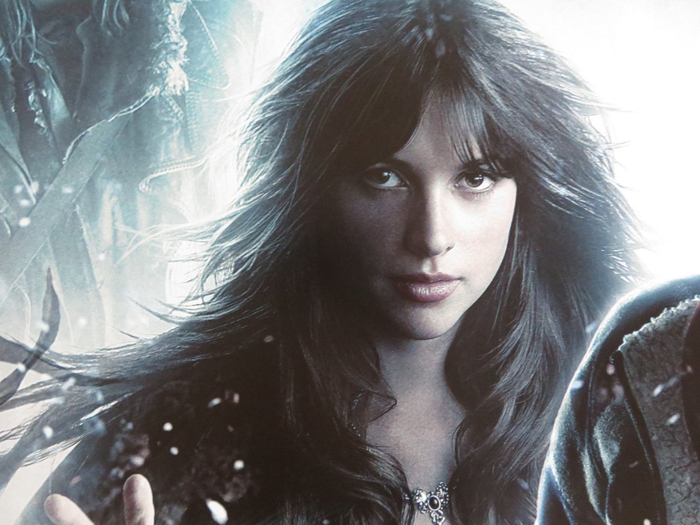 THE SEEKER: THE DARK IS RISING UK QUAD (30"x 40") ROLLED POSTER A. LUDWIG 2007 Rendezvous Cinema Movie posters