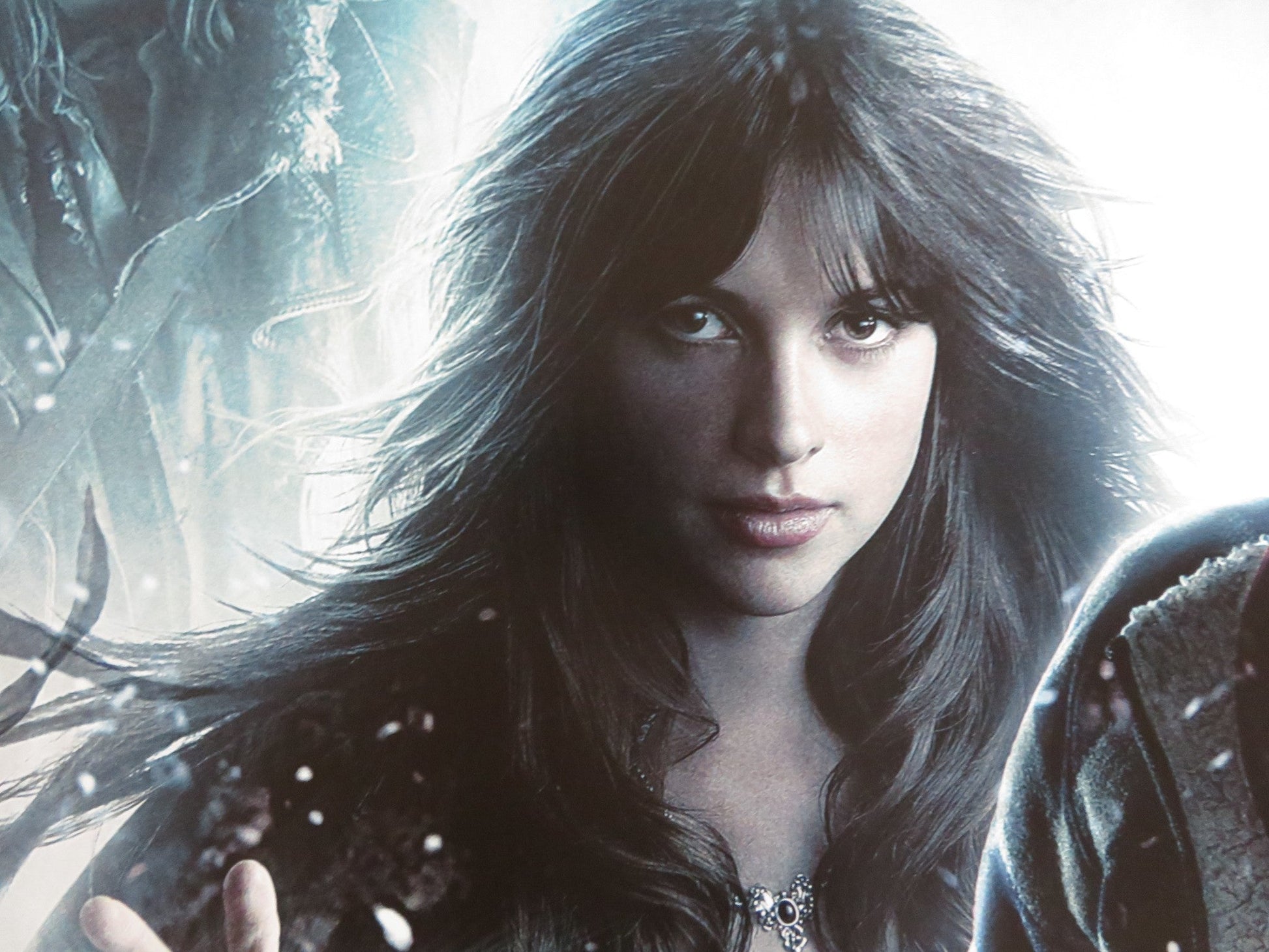 THE SEEKER: THE DARK IS RISING UK QUAD (30"x 40") ROLLED POSTER A. LUDWIG 2007 Rendezvous Cinema Movie posters