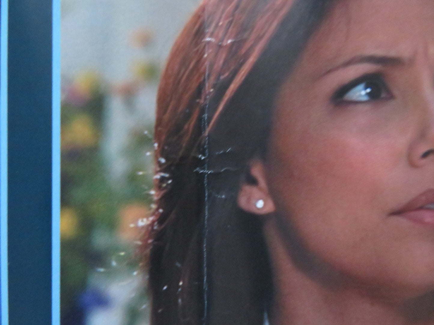 THE SENTINEL - A ITALIAN FOTOBUSTA POSTER MICHAEL DOUGLAS KIEFER SUTHERLAND 2006 Rendezvous Cinema Movie posters