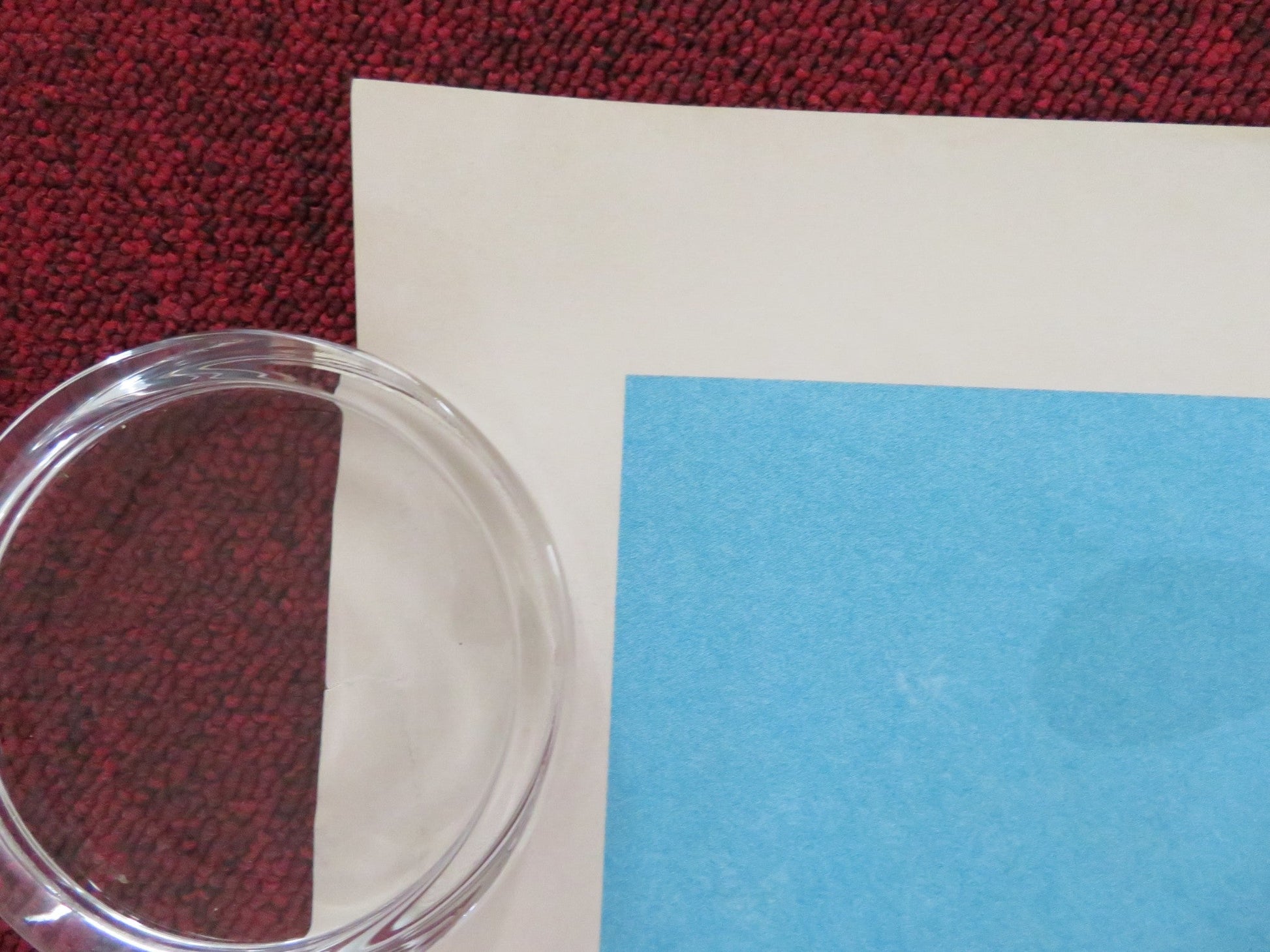 THE SESSIONS UK QUAD (30"x 40") ROLLED POSTER HELEN HUNT JOHN HAWKES 2012 Rendezvous Cinema Movie posters