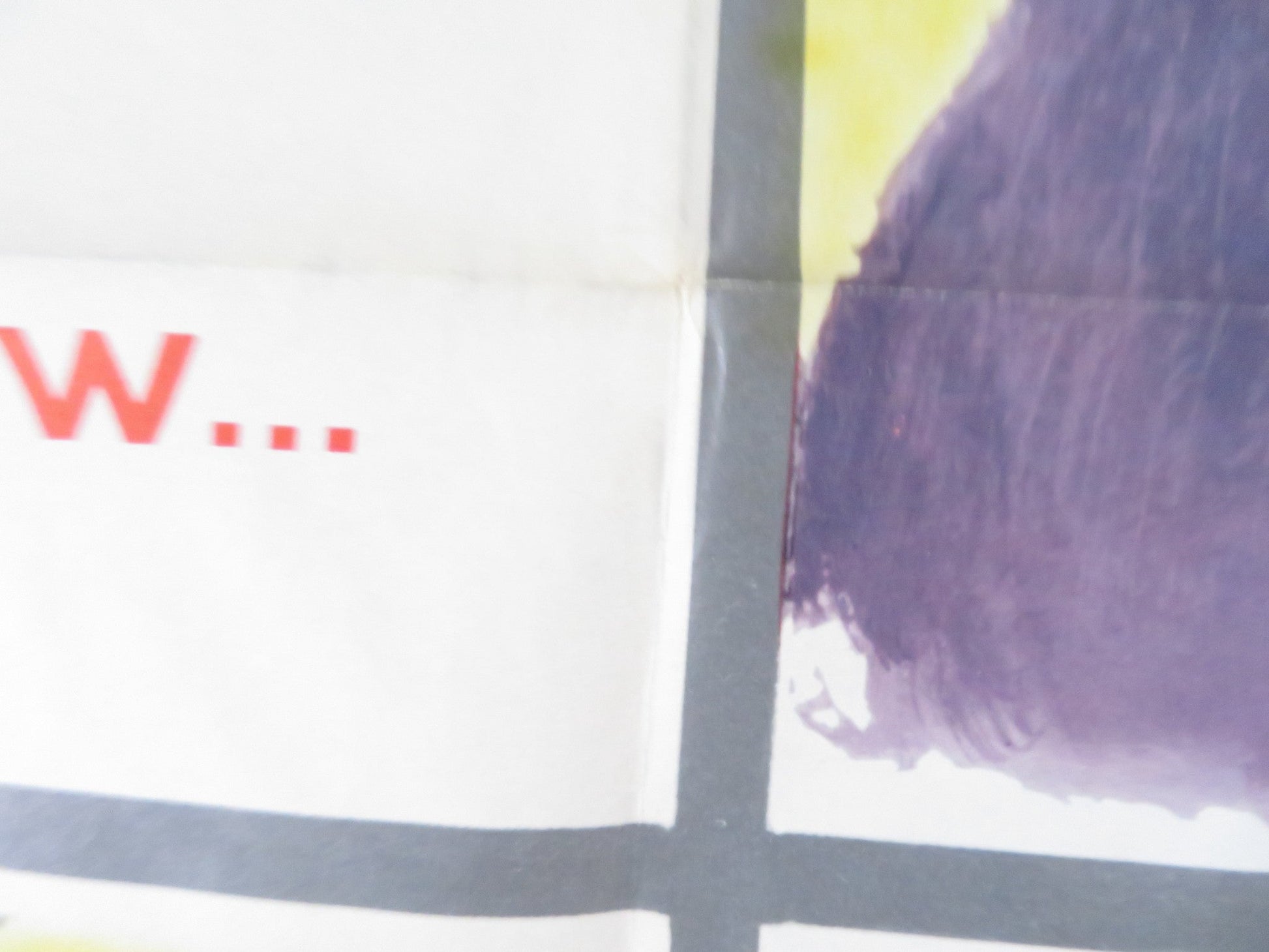 THE SHADOW ON THE WINDOW FOLDED US ONE SHEET POSTER PHILIP CAREY B. GARRETT 1957 Rendezvous Cinema Movie posters