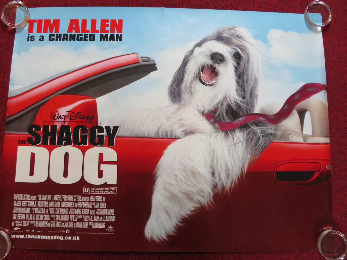 THE SHAGGY DOG UK QUAD (30"x 40") ROLLED POSTER DISNEY TIM ALLEN 2006 Rendezvous Cinema Movie posters
