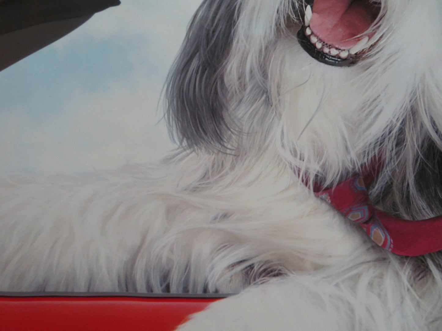 THE SHAGGY DOG UK QUAD (30"x 40") ROLLED POSTER DISNEY TIM ALLEN 2006 Rendezvous Cinema Movie posters