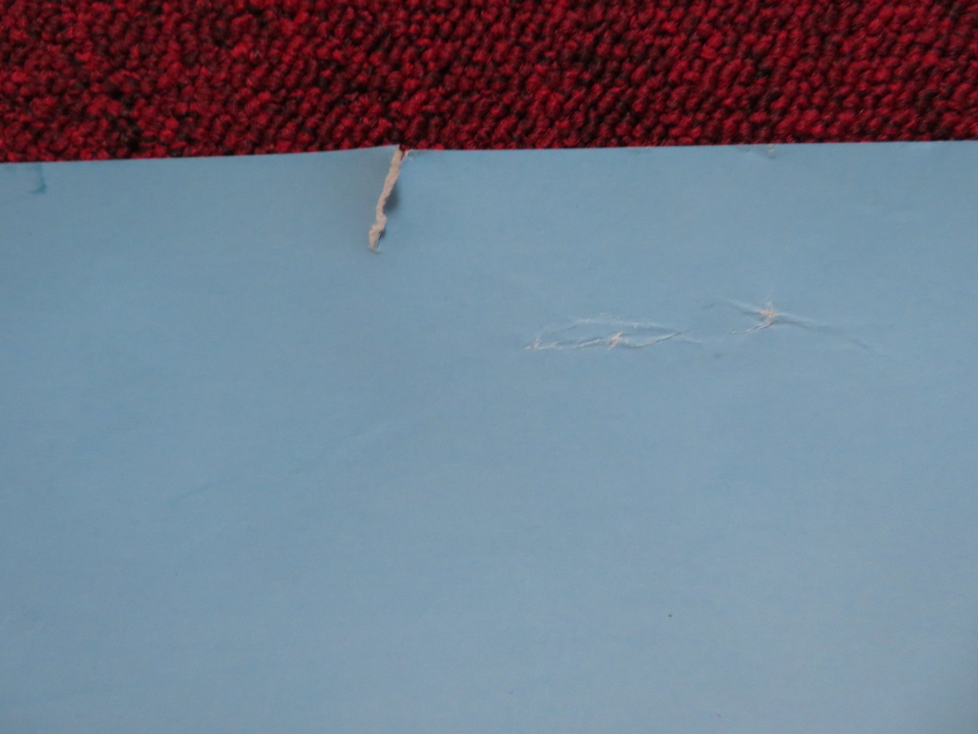 THE SHAGGY DOG UK QUAD (30"x 40") ROLLED POSTER DISNEY TIM ALLEN 2006 Rendezvous Cinema Movie posters