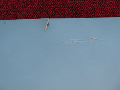 THE SHAGGY DOG UK QUAD (30"x 40") ROLLED POSTER DISNEY TIM ALLEN 2006 Rendezvous Cinema Movie posters