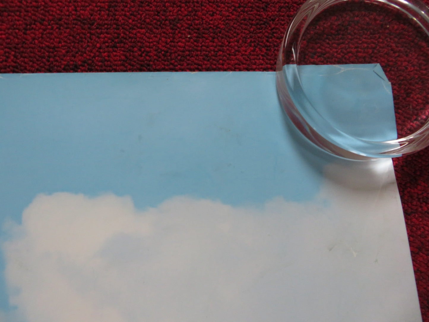 THE SHAGGY DOG UK QUAD (30"x 40") ROLLED POSTER DISNEY TIM ALLEN 2006 Rendezvous Cinema Movie posters