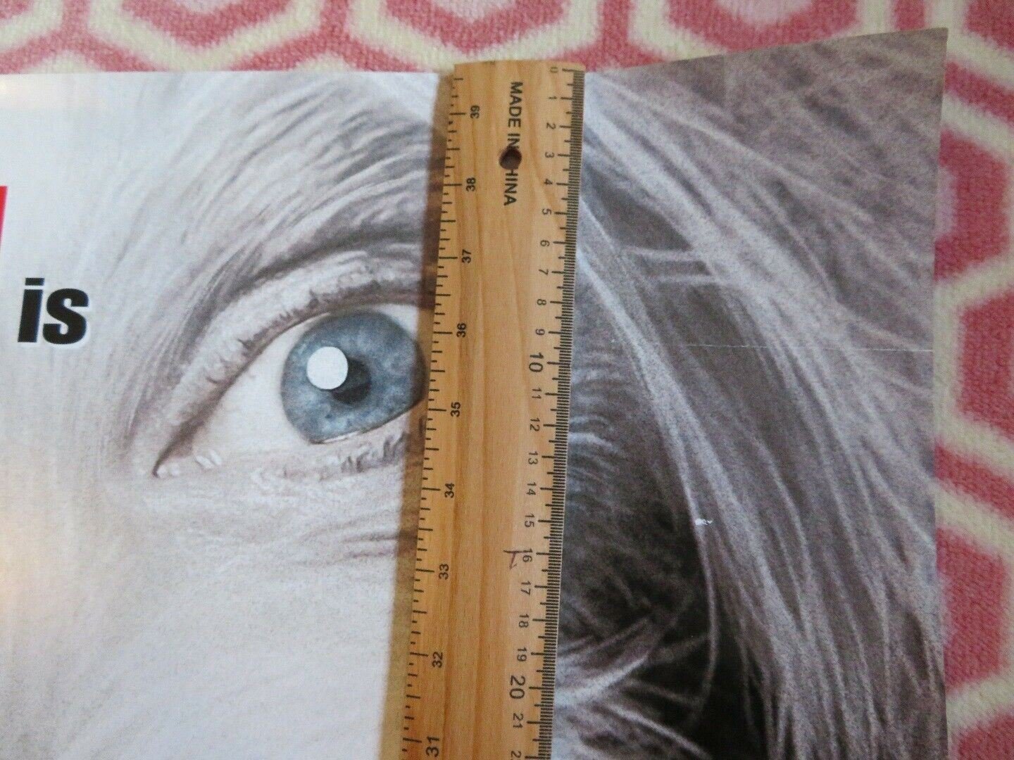 THE SHAGGY DOG US ROLLED POSTER DISNEY TIM ALLEN 2006 Movie posters