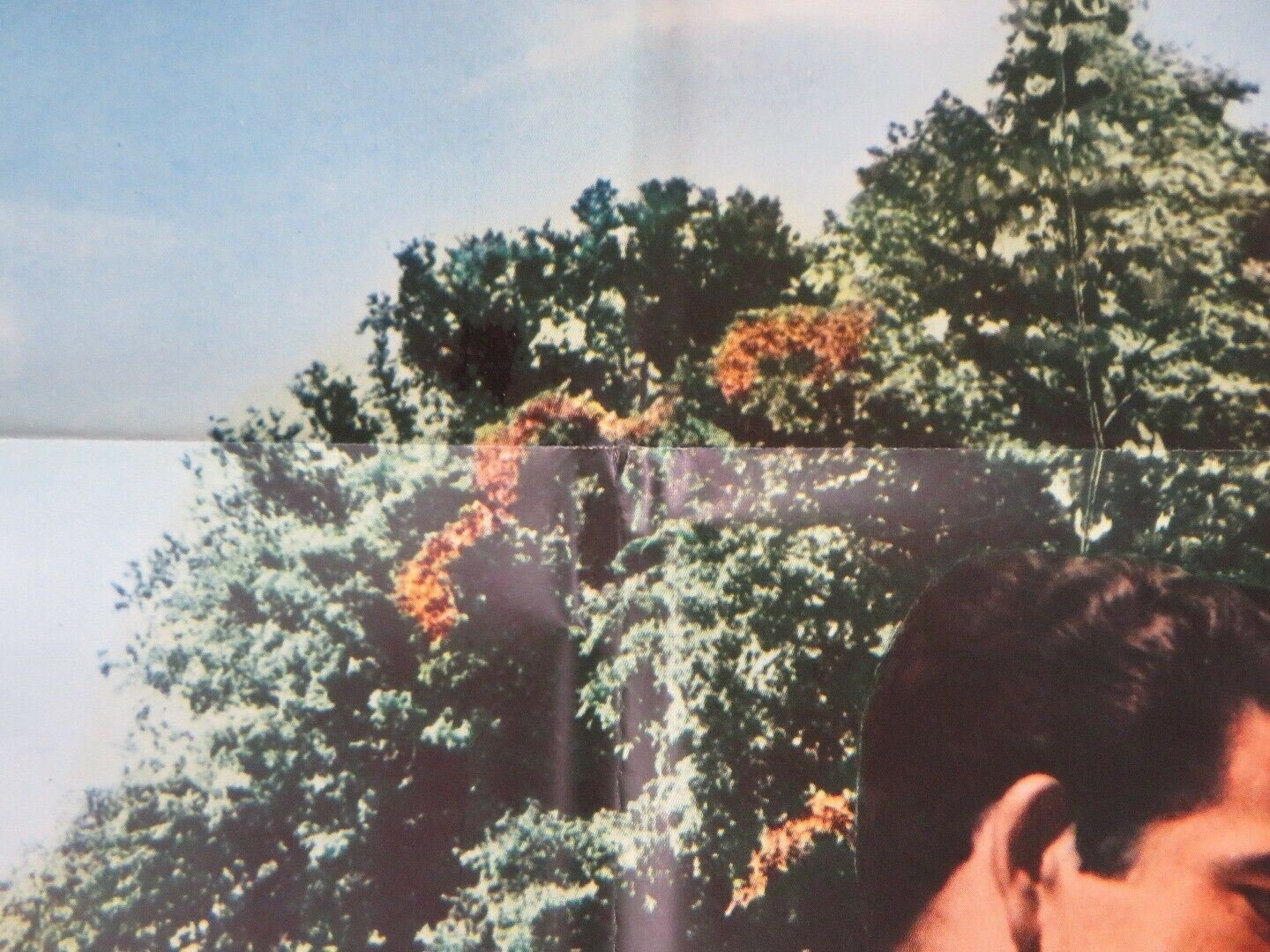 THE SHEPHERD OF THE HILLS 1964 US ORIGINAL 1 SHEET POSTER ARLEN RETRO Movie posters