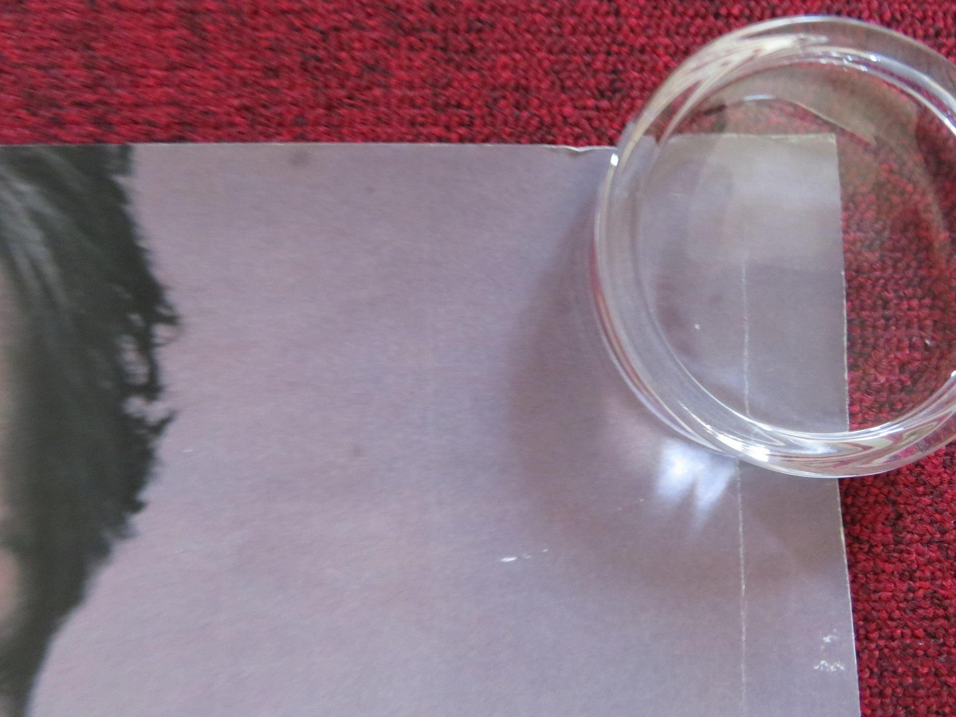 THE SHIPPING NEWS UK QUAD (30"x 40") ROLLED POSTER K. SPACEY JULIANNE MOORE 2001 Rendezvous Cinema Movie posters