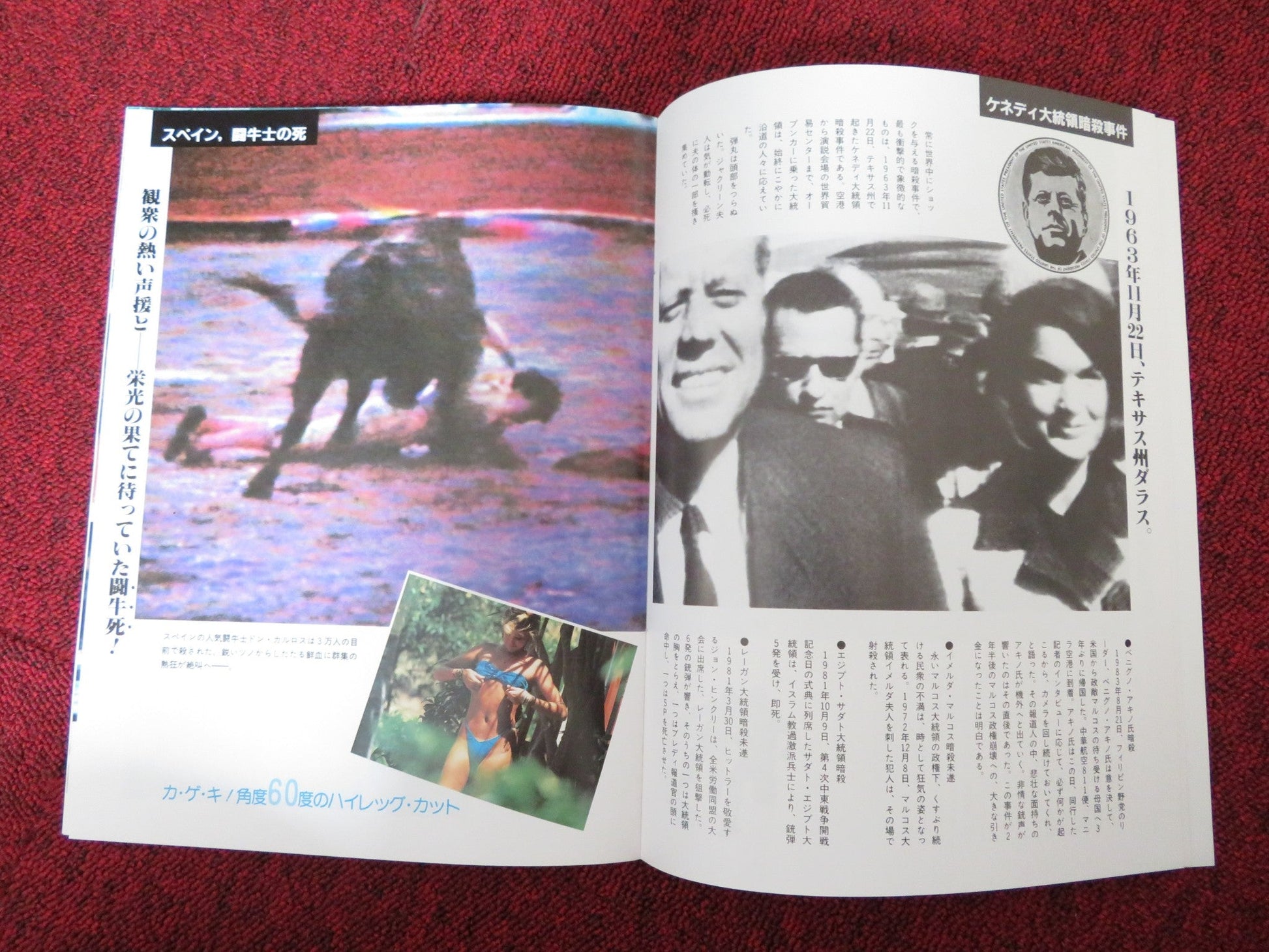 THE SHOCKS JAPANESE BROCHURE / PRESS BOOK BLASE BONPANE JEFF DOUCET 1986 Rendezvous Cinema Movie posters