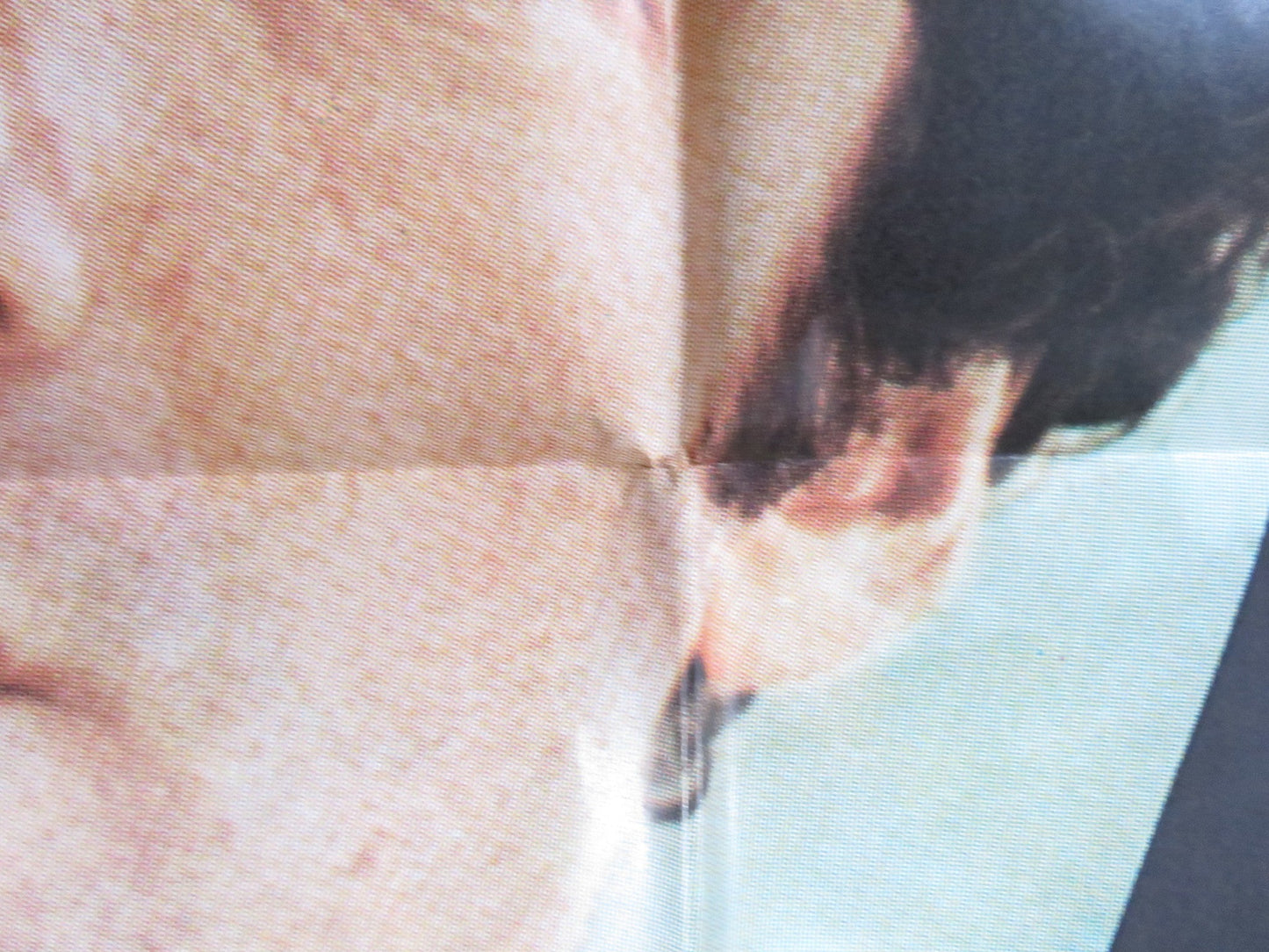 THE SILENT PARTNER ITALIAN 2 FOGLIO POSTER ELLIOT GOULD CHRISTOPHER PLUMMER 1978 Rendezvous Cinema Movie posters