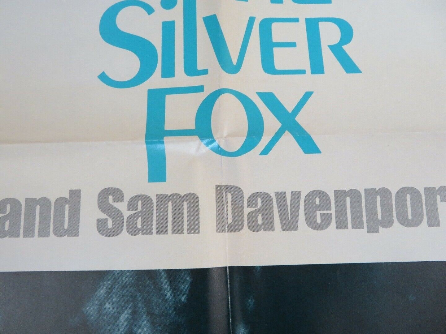 THE SILVER FOX AND SAM DAVENPORT US ONE SHEET POSTER DISNEY 1973 Movie posters