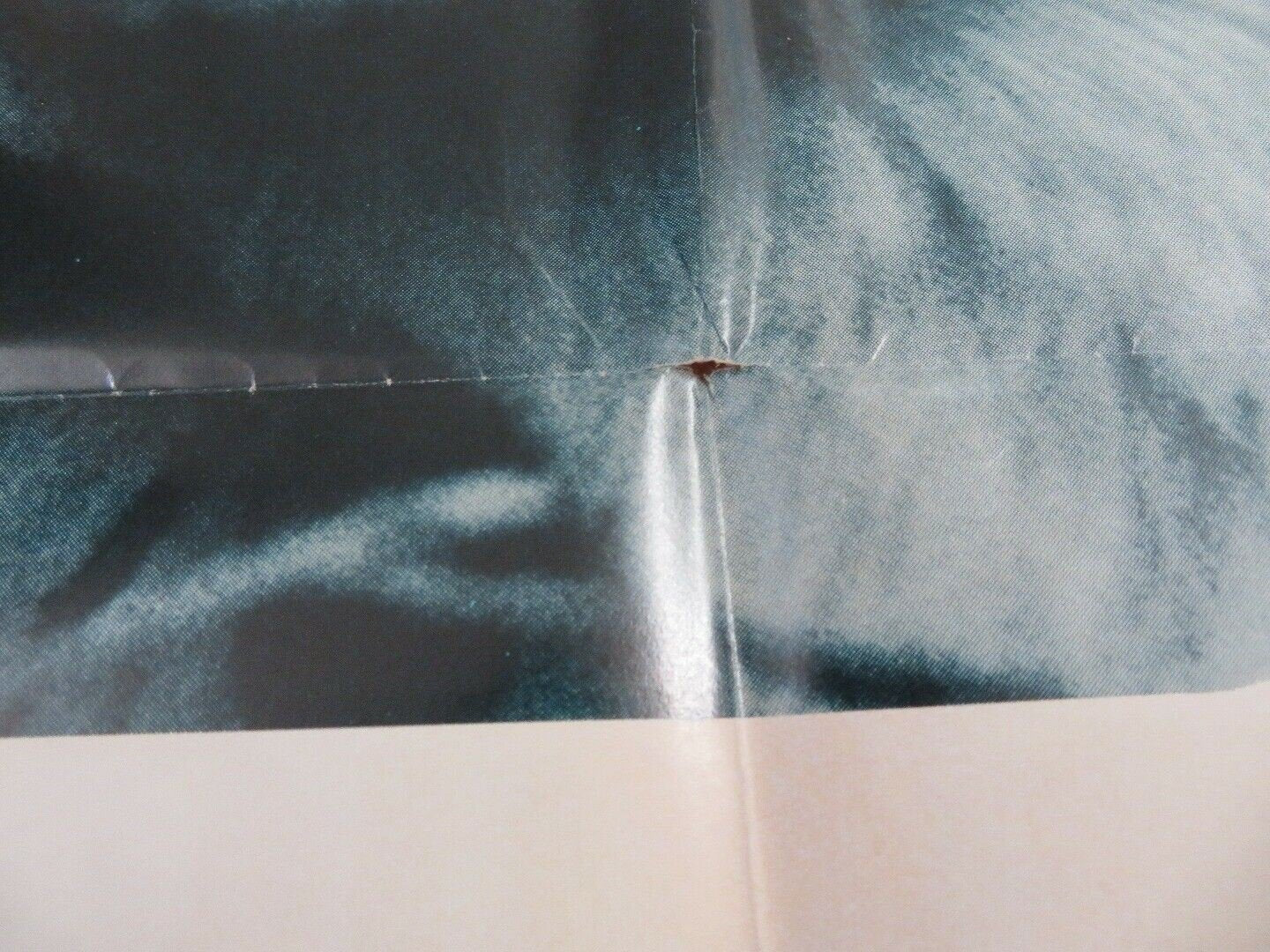 THE SILVER FOX AND SAM DAVENPORT US ONE SHEET POSTER DISNEY 1973 Movie posters