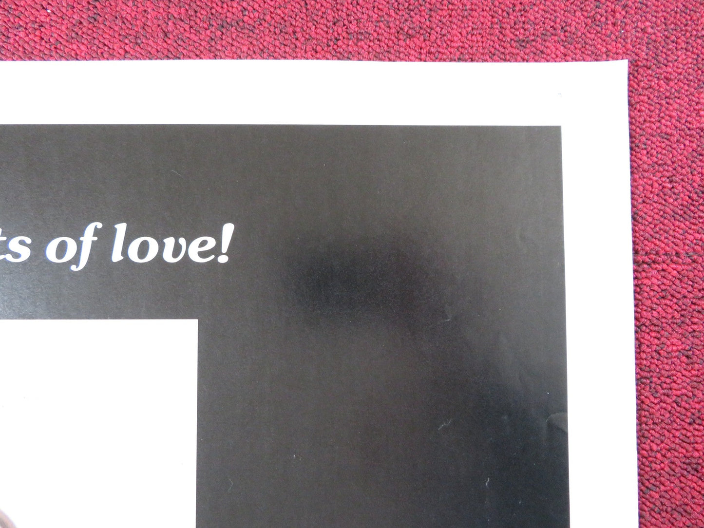 THE SINFUL BED US TRI FOLDED ONE SHEET ROLLED POSTER HEIDRUN HANNKAMMER 1973 Rendezvous Cinema Movie posters